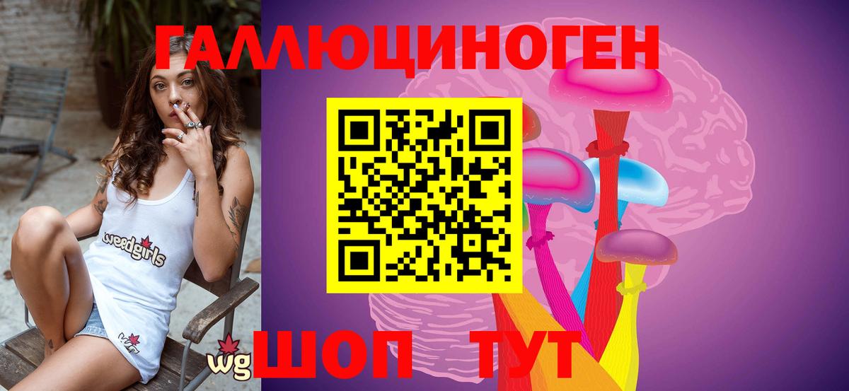 Галлюциногенные грибы Psilocybine cubensis  Вход с VPN  Шарыпово 